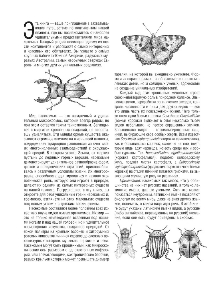 Butterflies and Other Insects. Atlas-Coloring Book