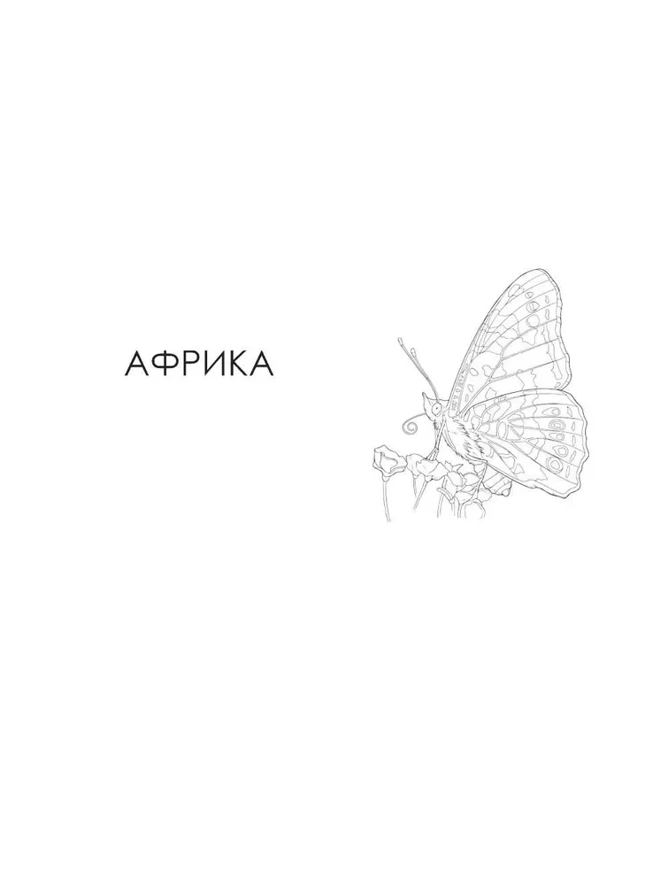 Butterflies and Other Insects. Atlas-Coloring Book