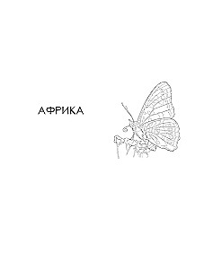 Butterflies and Other Insects. Atlas-Coloring Book