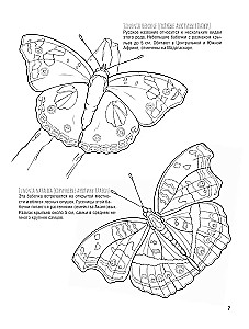 Butterflies and Other Insects. Atlas-Coloring Book