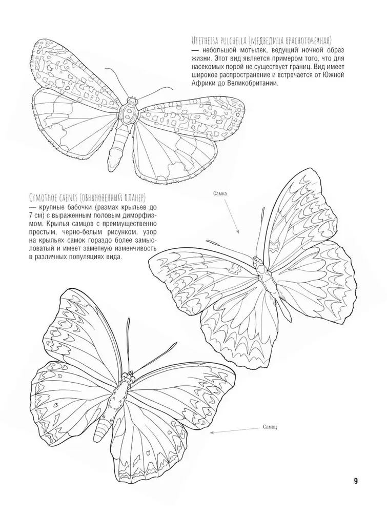Butterflies and Other Insects. Atlas-Coloring Book
