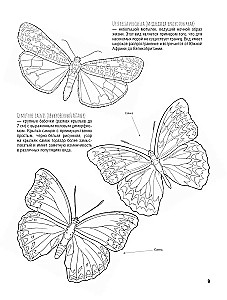 Butterflies and Other Insects. Atlas-Coloring Book