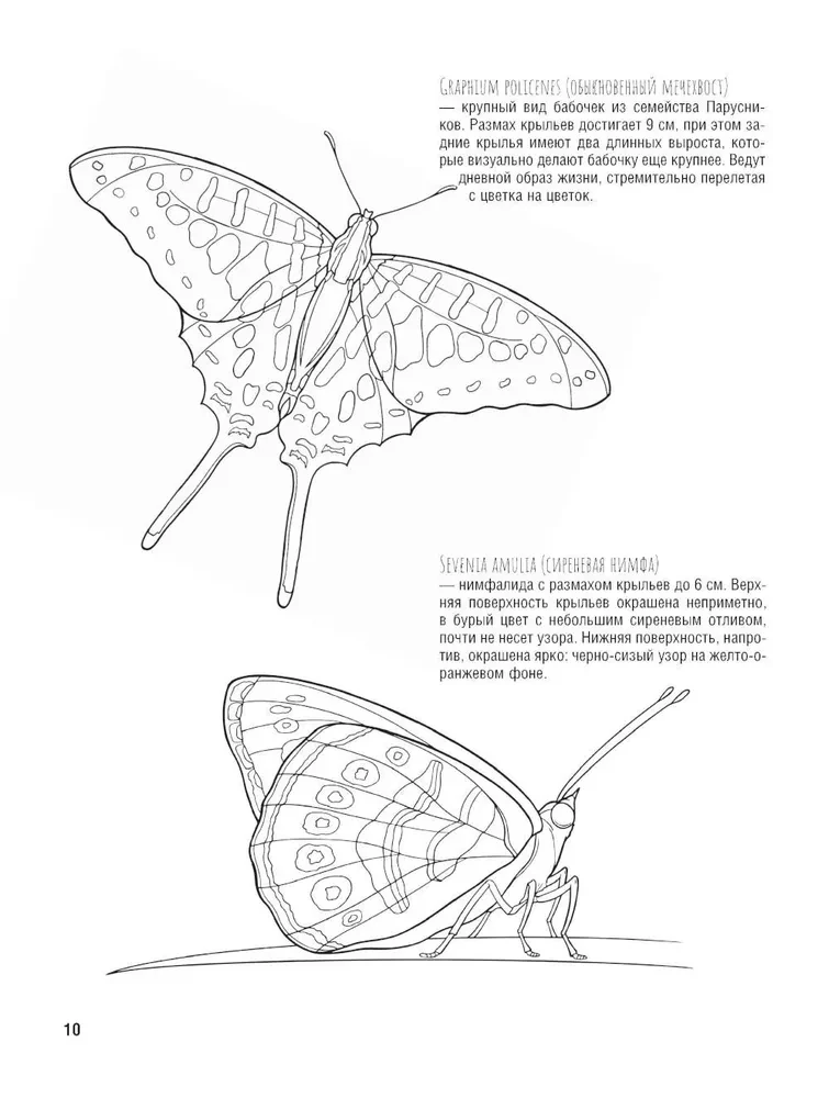 Butterflies and Other Insects. Atlas-Coloring Book