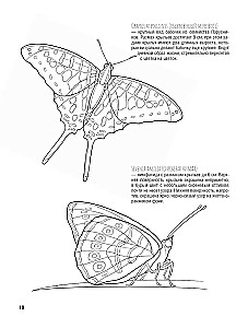 Butterflies and Other Insects. Atlas-Coloring Book