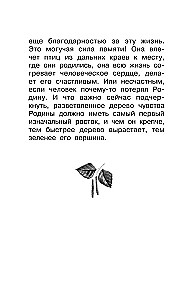 About the Motherland. Stories