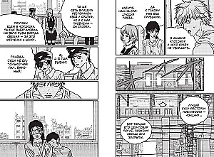 Chainsaw Man. Book 14. Familiar Picture