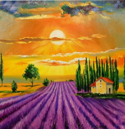 Paint by Numbers - Lavender Field