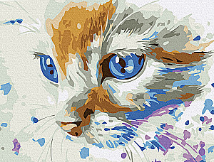 Painting by numbers - Kitten