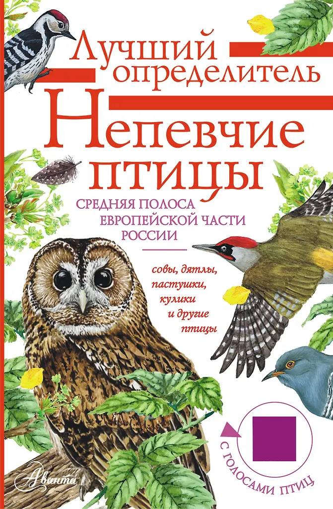 Non-singing Birds. The Central Region of the European Part of Russia. A Guide with Bird Voices