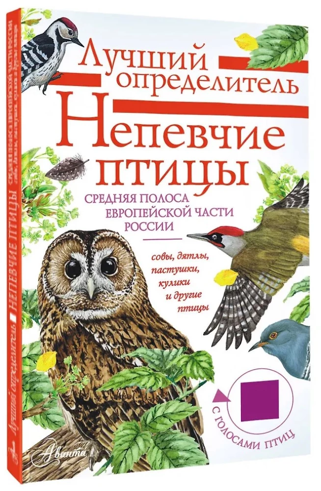 Nicht singende Vögel. Die mittlere Zone des europäischen Teils Russlands. Bestimmungsbuch mit Vogelstimmen