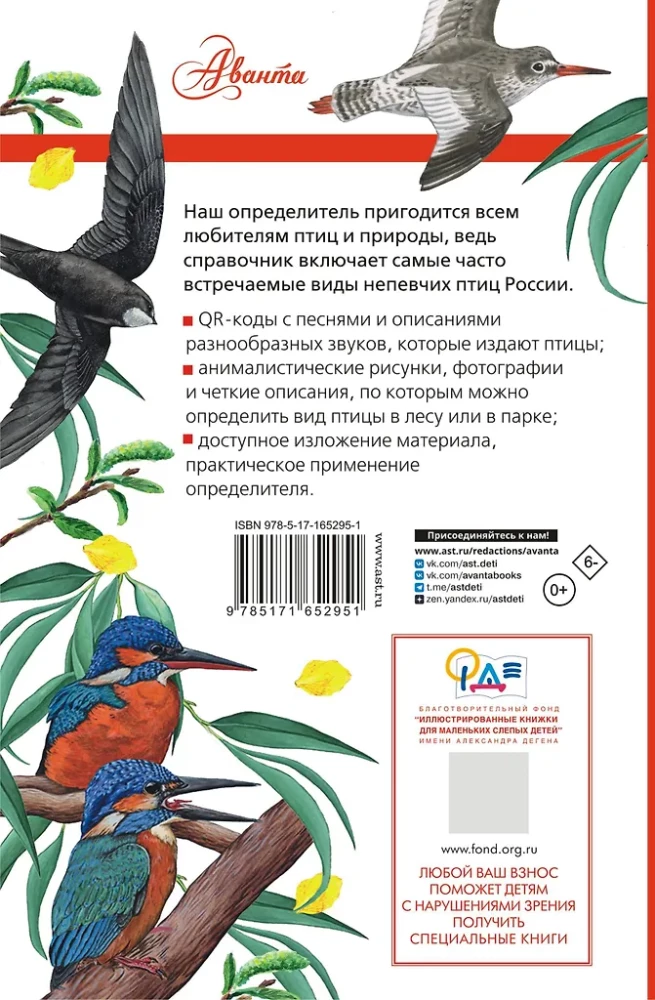 Nicht singende Vögel. Die mittlere Zone des europäischen Teils Russlands. Bestimmungsbuch mit Vogelstimmen