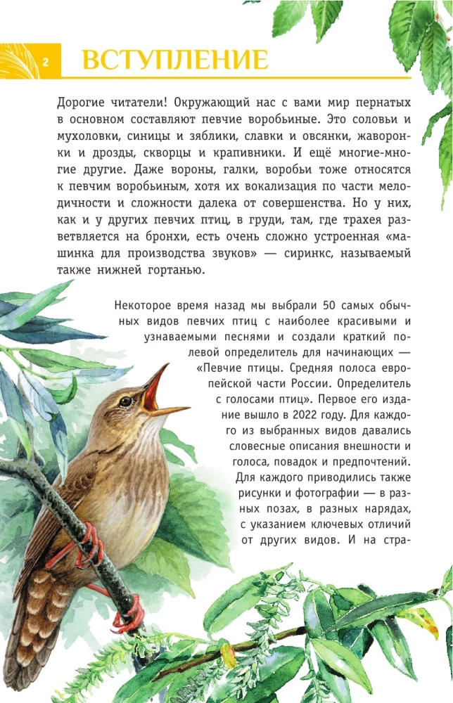 Nicht singende Vögel. Die mittlere Zone des europäischen Teils Russlands. Bestimmungsbuch mit Vogelstimmen