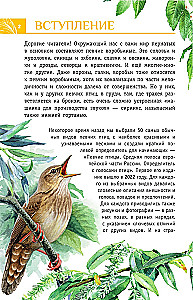 Nicht singende Vögel. Die mittlere Zone des europäischen Teils Russlands. Bestimmungsbuch mit Vogelstimmen