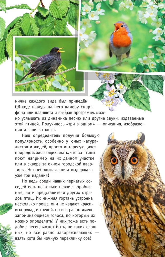 Nicht singende Vögel. Die mittlere Zone des europäischen Teils Russlands. Bestimmungsbuch mit Vogelstimmen