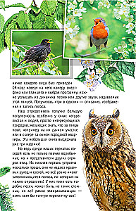 Nicht singende Vögel. Die mittlere Zone des europäischen Teils Russlands. Bestimmungsbuch mit Vogelstimmen