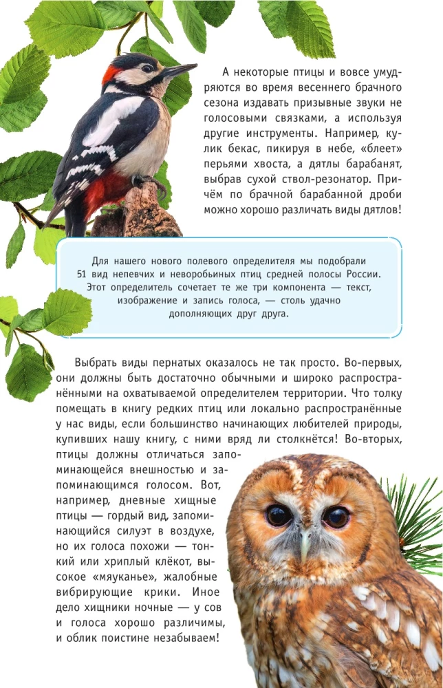 Nicht singende Vögel. Die mittlere Zone des europäischen Teils Russlands. Bestimmungsbuch mit Vogelstimmen