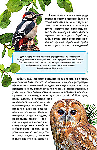 Nicht singende Vögel. Die mittlere Zone des europäischen Teils Russlands. Bestimmungsbuch mit Vogelstimmen