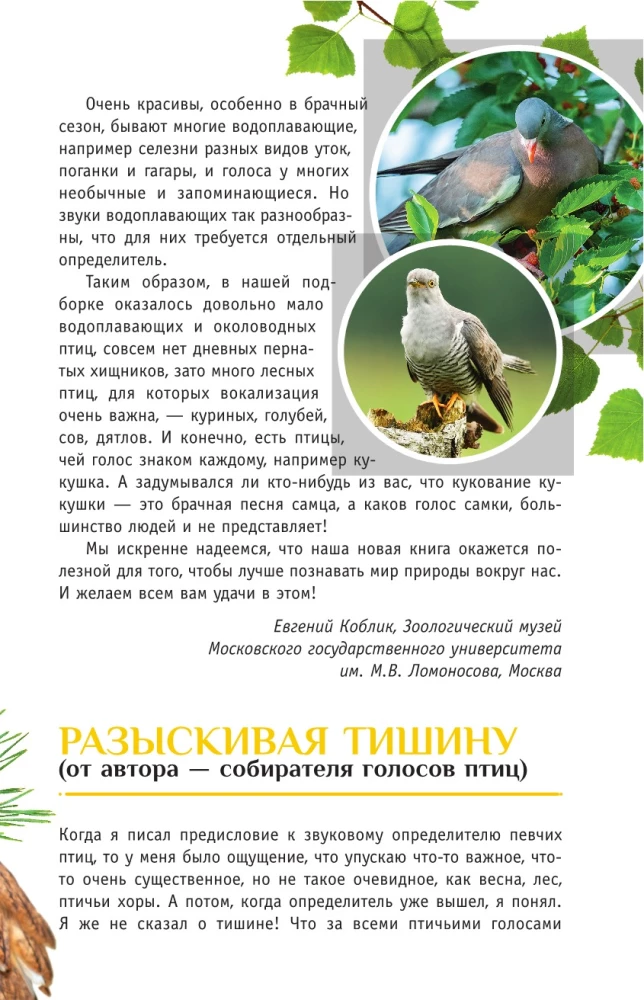 Nicht singende Vögel. Die mittlere Zone des europäischen Teils Russlands. Bestimmungsbuch mit Vogelstimmen