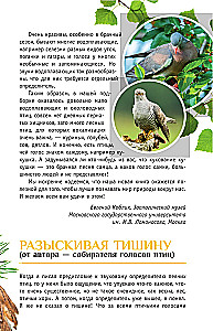 Nicht singende Vögel. Die mittlere Zone des europäischen Teils Russlands. Bestimmungsbuch mit Vogelstimmen