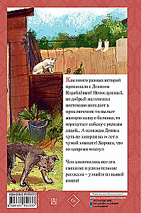 Denis's Stories