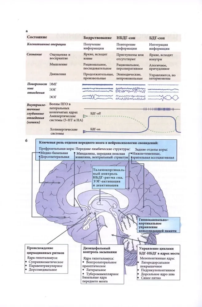 Badanie snów (Tom 2). Almanach Towarzystwa Integracyjnej Psychoanalizy