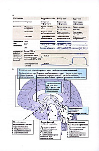 Badanie snów (Tom 2). Almanach Towarzystwa Integracyjnej Psychoanalizy