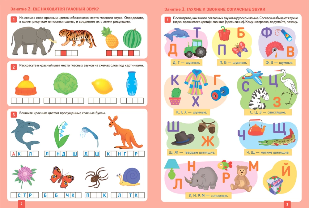 Large Workbook. Literacy Lessons in Kindergarten and at Home. 6-7 Years