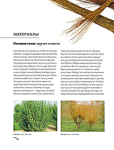 Weaving from Wicker from A to Z. Complete Practical Guide for Beginners