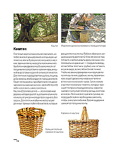 Weaving from Wicker from A to Z. Complete Practical Guide for Beginners