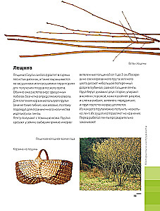 Weaving from Wicker from A to Z. Complete Practical Guide for Beginners