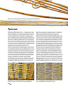 Weaving from Wicker from A to Z. Complete Practical Guide for Beginners