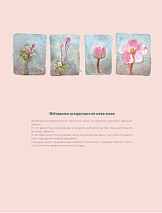 My Life in Watercolor. An Inspirational Guide to Creating Watercolor Paintings for Every Day