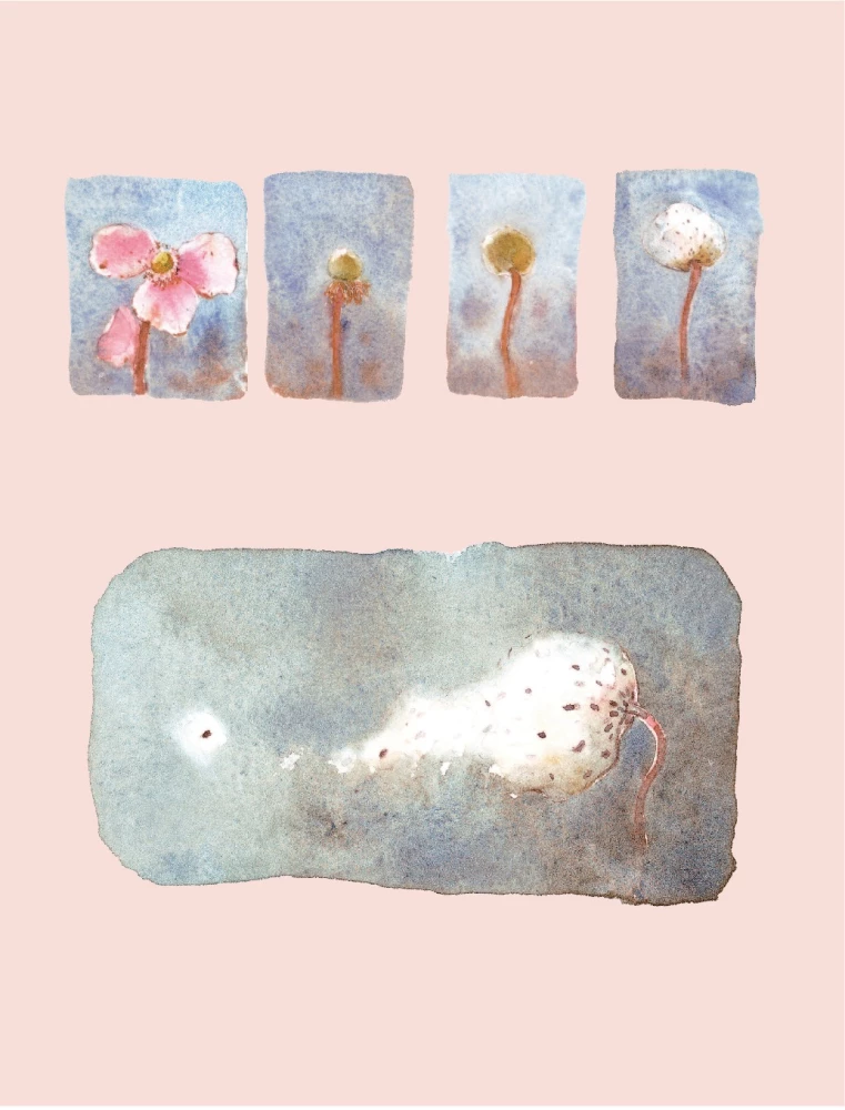 My Life in Watercolor. An Inspirational Guide to Creating Watercolor Paintings for Every Day