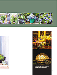 My Life in Watercolor. An Inspirational Guide to Creating Watercolor Paintings for Every Day