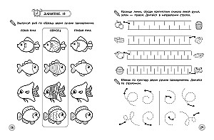 Development of Interhemispheric Interaction: For Children Aged 5-6 Years