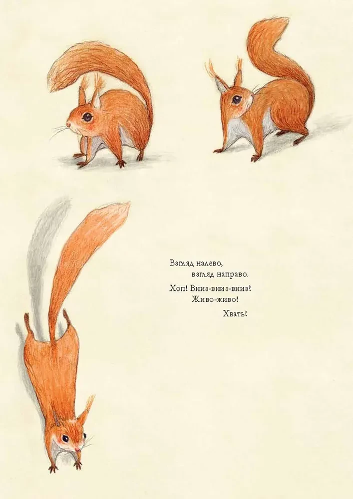 Squirrel Seva