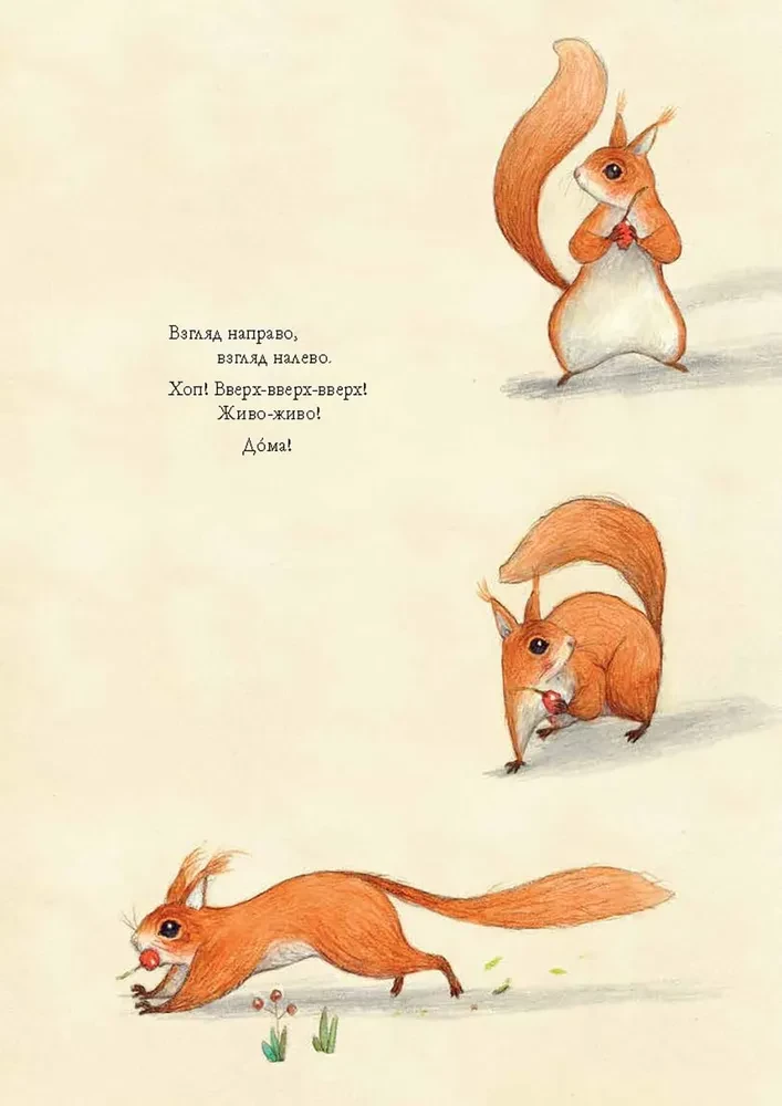 Squirrel Seva