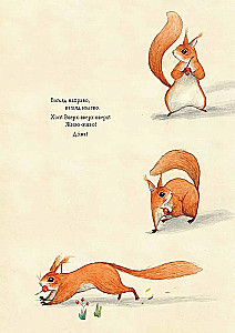 Squirrel Seva