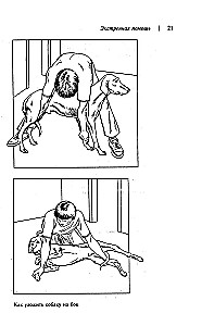 Home Veterinary Guide for Dog Owners