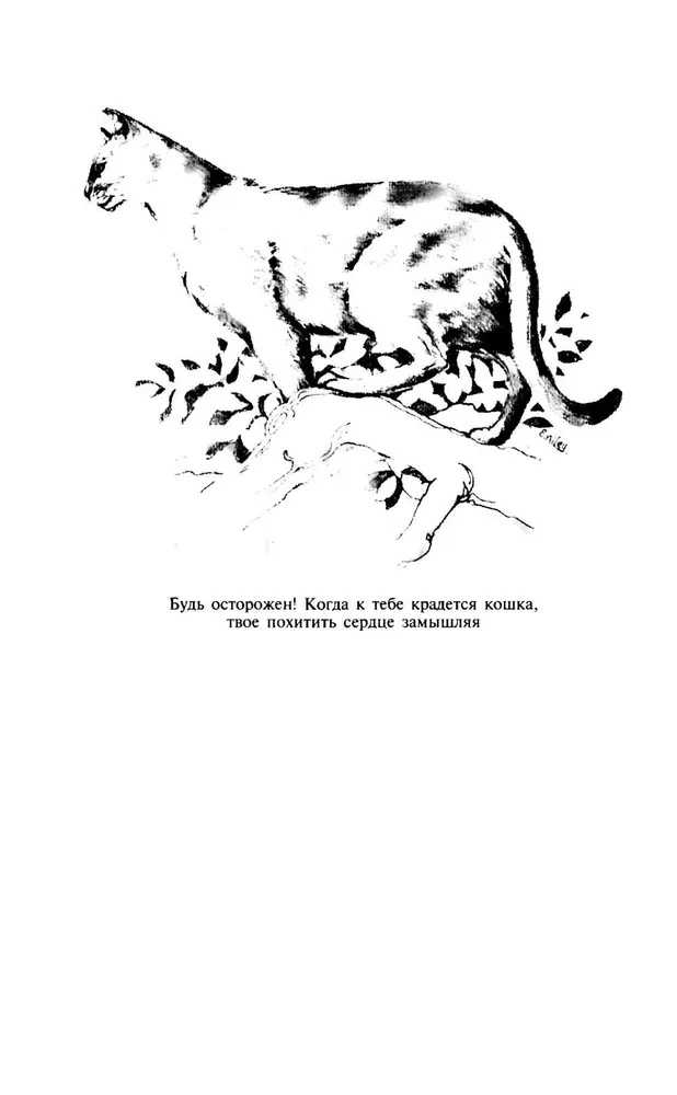 Home Veterinary Guide for Cat Owners
