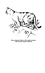 Home Veterinary Guide for Cat Owners