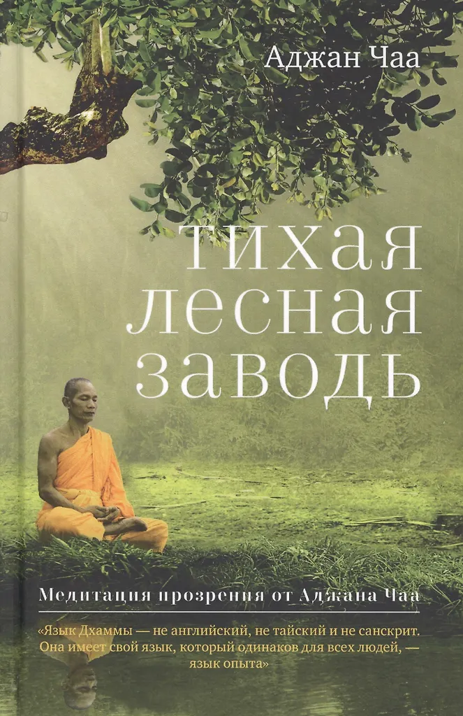 Stille Waldlichtung. Meditation Offenbarung von Ajahn Chah