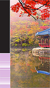Seoul and Surroundings