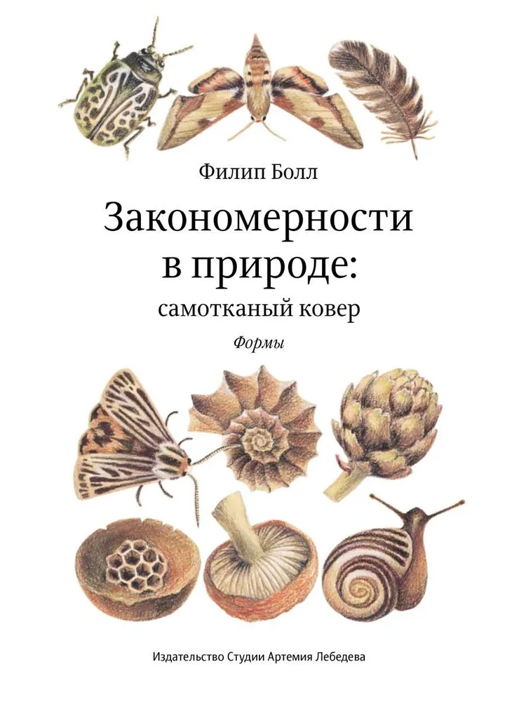 Zasady w naturze