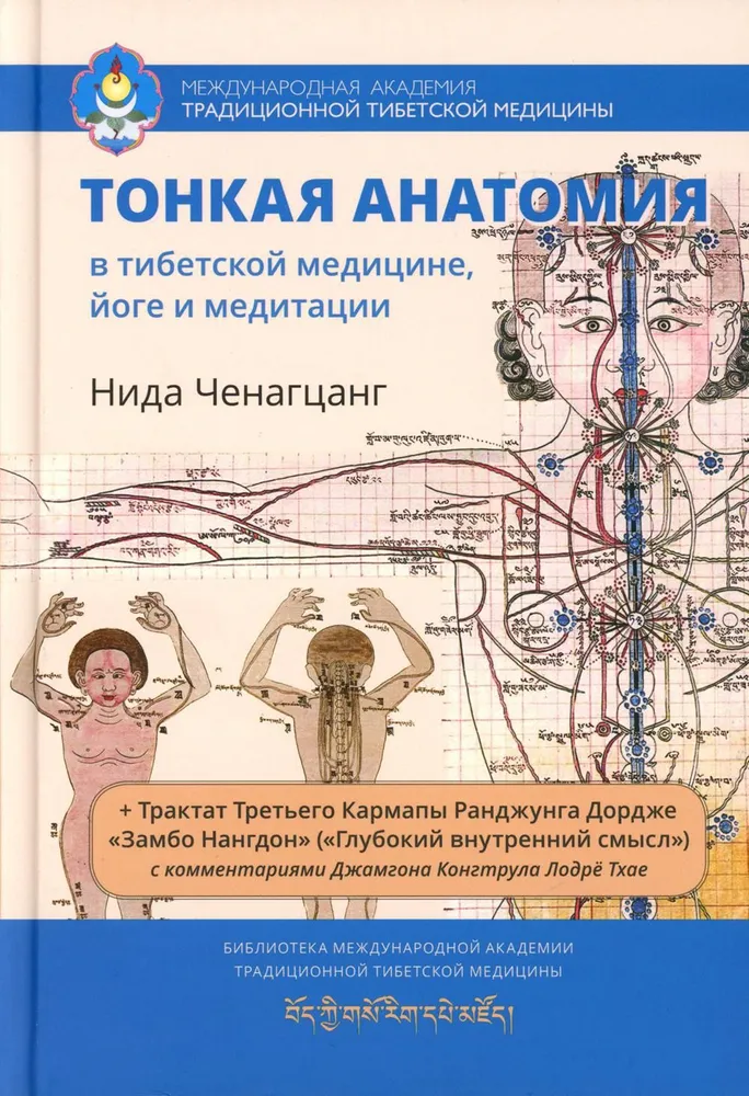 Subtle Anatomy in Tibetan Medicine, Yoga, and Meditation. Key to the Energy Structure of a Person