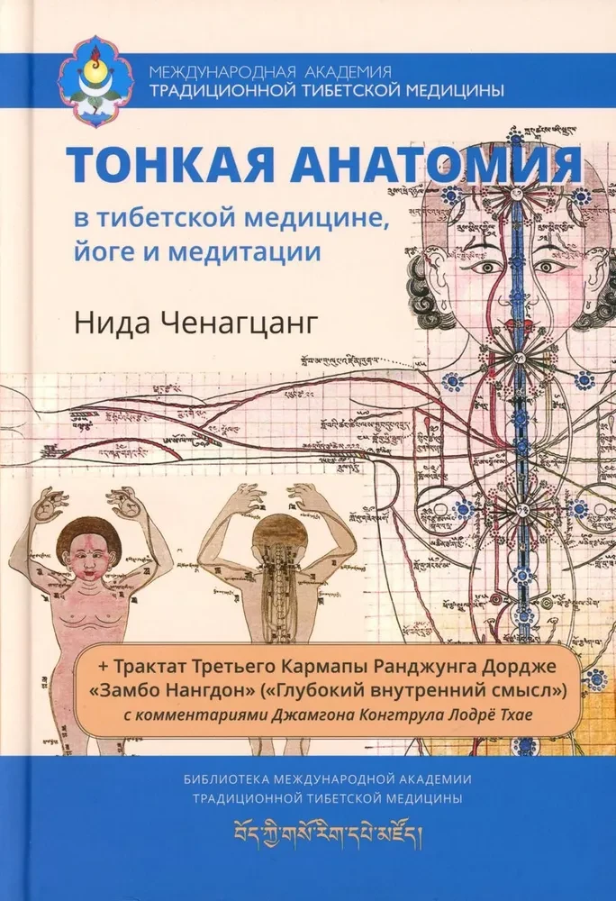 Subtle Anatomy in Tibetan Medicine, Yoga, and Meditation. Key to the Energy Structure of a Person