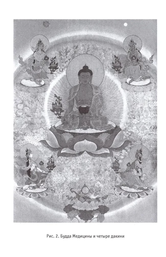 Subtle Anatomy in Tibetan Medicine, Yoga, and Meditation. Key to the Energy Structure of a Person