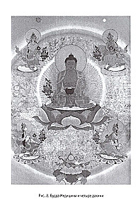 Subtle Anatomy in Tibetan Medicine, Yoga, and Meditation. Key to the Energy Structure of a Person
