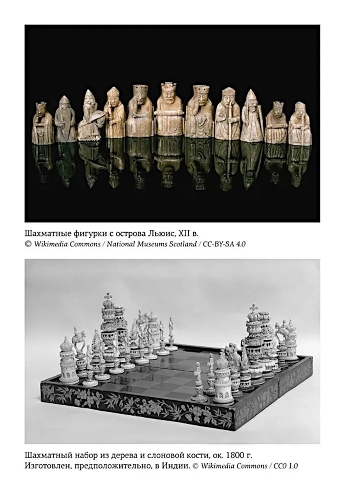 The Birth of the Chess Queen: The Power and Triumph of Women Who Ruled on the Board and in Life