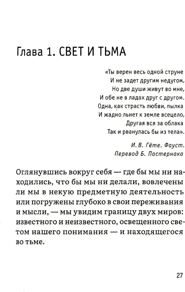 The psyche as a material system